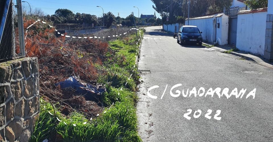 41_guadarrama_2022